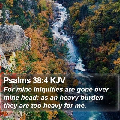 Psalms 38:4 KJV Bible Verse Image