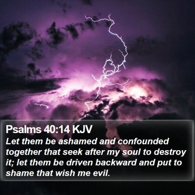 Psalms 40:14 KJV Bible Verse Image