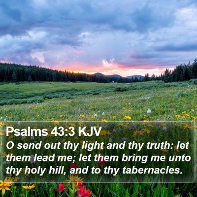 Psalms 43:3 KJV Bible Verse Image