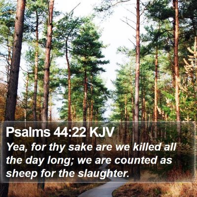 Psalms 44:22 KJV Bible Verse Image