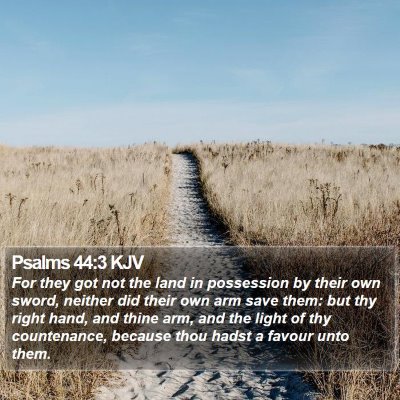Psalms 44:3 KJV Bible Verse Image