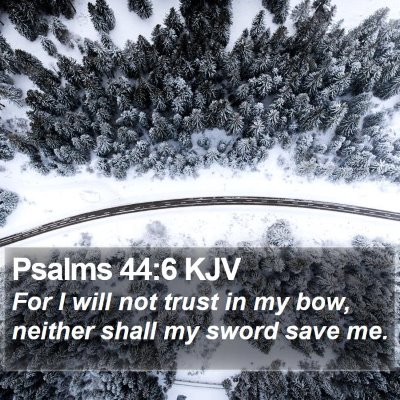 Psalms 44:6 KJV Bible Verse Image
