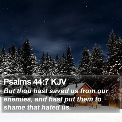 Psalms 44:7 KJV Bible Verse Image