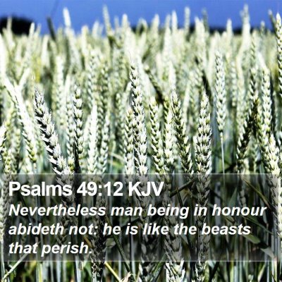 Psalms 49:12 KJV Bible Verse Image