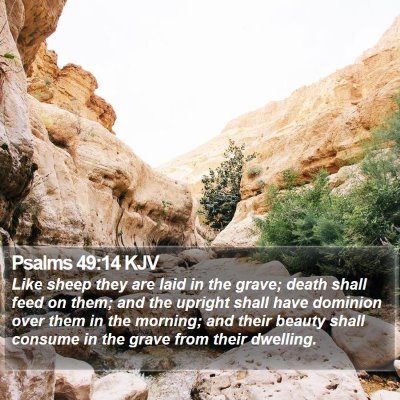 Psalms 49:14 KJV Bible Verse Image