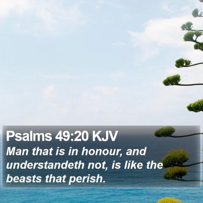 Psalms 49:20 KJV Bible Verse Image