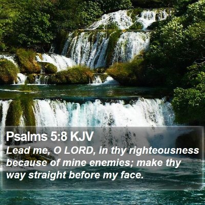 Psalms 5:8 KJV Bible Verse Image