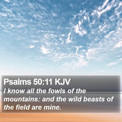 Psalms 50:11 KJV Bible Verse Image