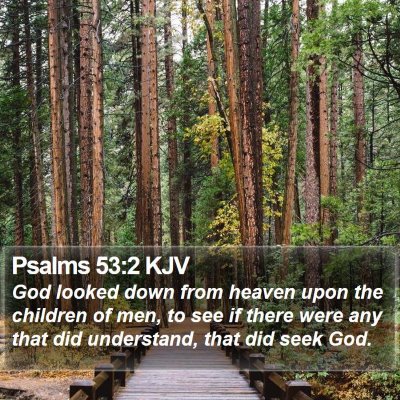 Psalms 53:2 KJV Bible Verse Image