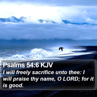 Psalms 54:6 KJV Bible Verse Image