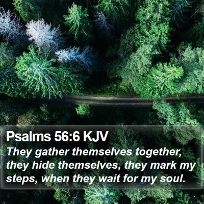 Psalms 56:6 KJV Bible Verse Image
