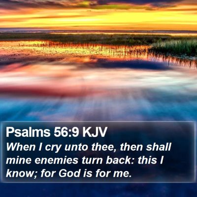 Psalms 56:9 KJV Bible Verse Image