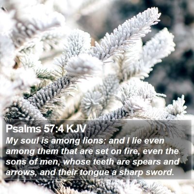 Psalms 57:4 KJV Bible Verse Image
