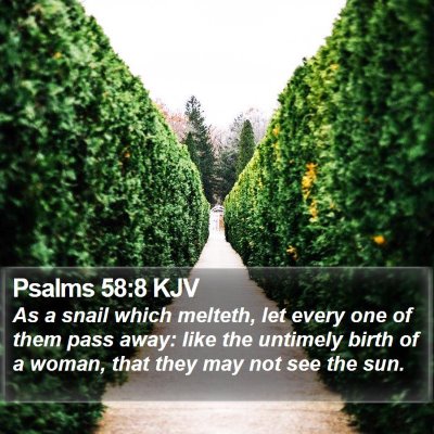 Psalms 58:8 KJV Bible Verse Image