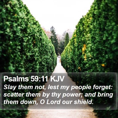 Psalms 59:11 KJV Bible Verse Image