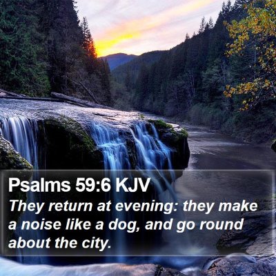 Psalms 59:6 KJV Bible Verse Image