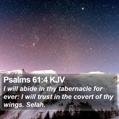 Psalms 61:4 KJV Bible Verse Image