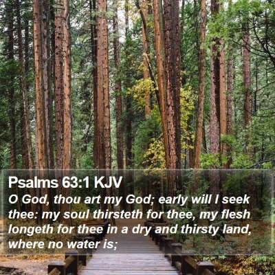 Psalms 63:1 KJV Bible Verse Image