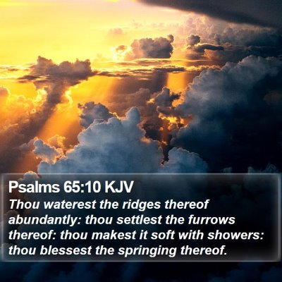 Psalms 65:10 KJV Bible Verse Image