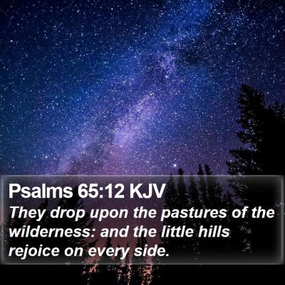 Psalms 65:12 KJV Bible Verse Image