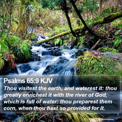 Psalms 65:9 KJV Bible Verse Image