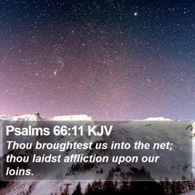 Psalms 66:11 KJV Bible Verse Image