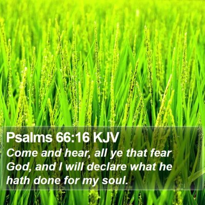 Psalms 66:16 KJV Bible Verse Image