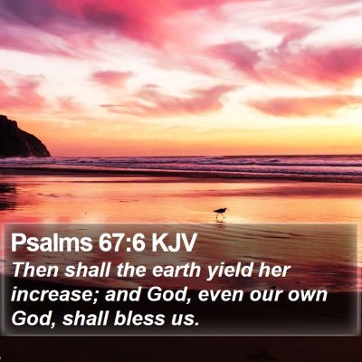 Psalms 67:6 KJV Bible Verse Image