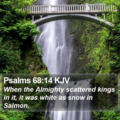 Psalms 68:14 KJV Bible Verse Image