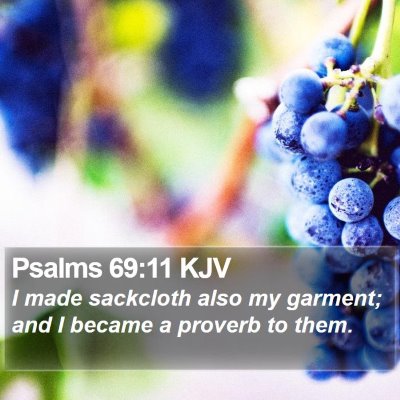 Psalms 69:11 KJV Bible Verse Image