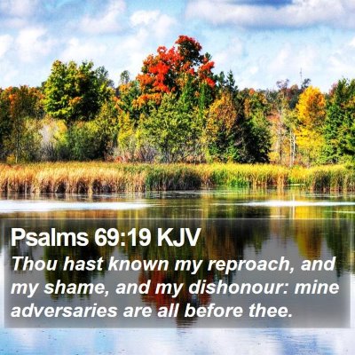 Psalms 69:19 KJV Bible Verse Image