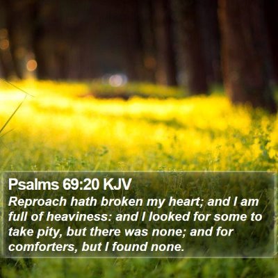 Psalms 69:20 KJV Bible Verse Image