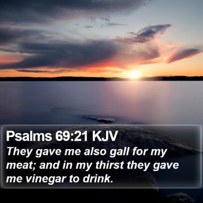 Psalms 69:21 KJV Bible Verse Image