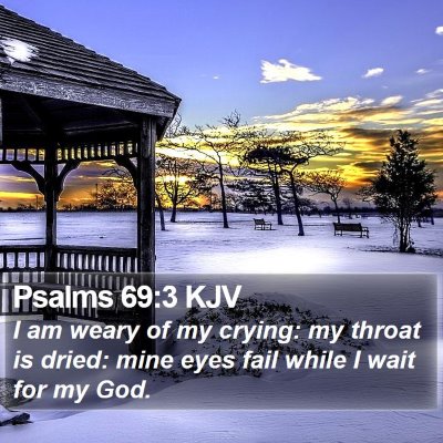 Psalms 69:3 KJV Bible Verse Image