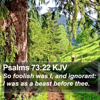Psalms 73:22 KJV Bible Verse Image