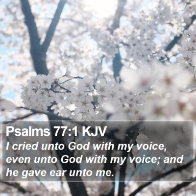 Psalms 77:1 KJV Bible Verse Image