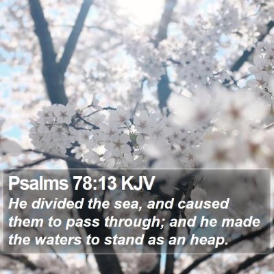 Psalms 78:13 KJV Bible Verse Image
