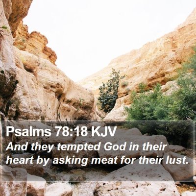 Psalms 78:18 KJV Bible Verse Image