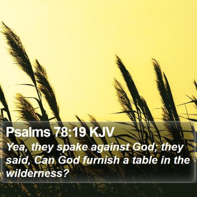 Psalms 78:19 KJV Bible Verse Image