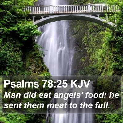 Psalms 78:25 KJV Bible Verse Image
