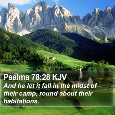 Psalms 78:28 KJV Bible Verse Image