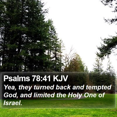Psalms 78:41 KJV Bible Verse Image