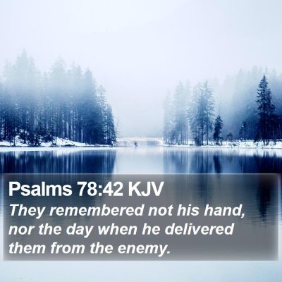 Psalms 78:42 KJV Bible Verse Image