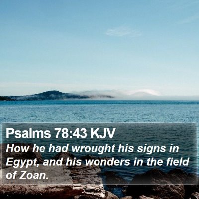 Psalms 78:43 KJV Bible Verse Image