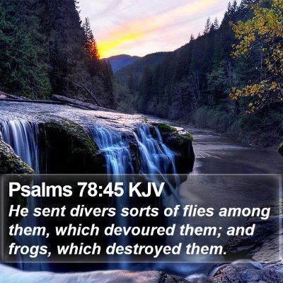 Psalms 78:45 KJV Bible Verse Image