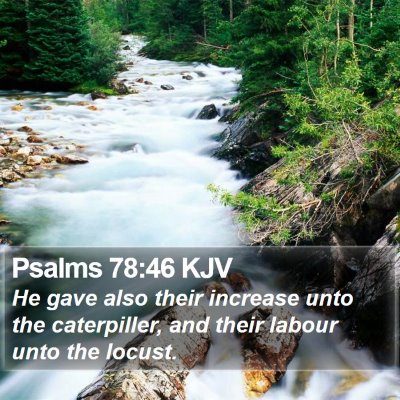 Psalms 78:46 KJV Bible Verse Image