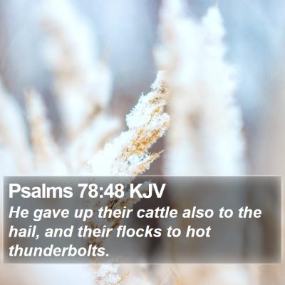 Psalms 78:48 KJV Bible Verse Image