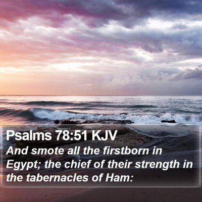 Psalms 78:51 KJV Bible Verse Image
