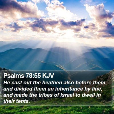 Psalms 78:55 KJV Bible Verse Image