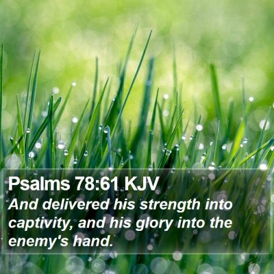 Psalms 78:61 KJV Bible Verse Image
